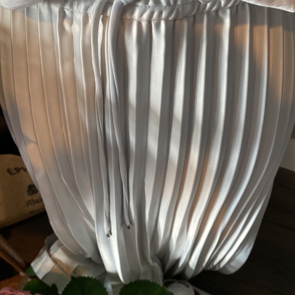 Pleats Ahoy! - Picture 6 of 7